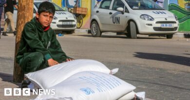 Key UN Gaza aid agency UNRWA runs into diplomatic storm