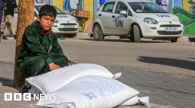 Key UN Gaza aid agency UNRWA runs into diplomatic storm