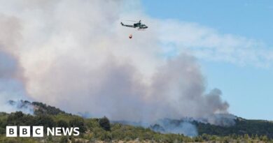 Los Alerces: Wildfire rages through national park in Argentina