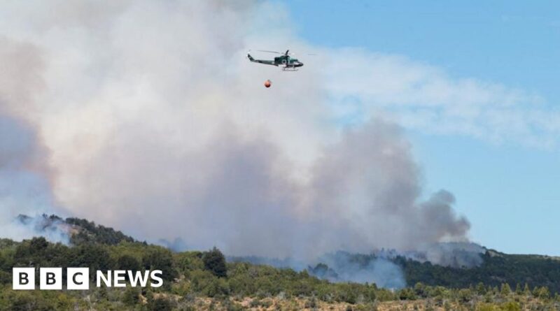 Los Alerces: Wildfire rages through national park in Argentina