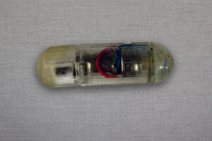 MIT scientists are working on a vibrating obesity pill | TechCrunch