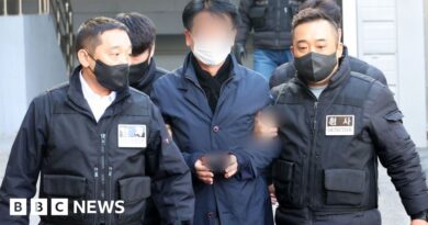 Man charged over stabbing of S Korea opposition leader Lee Jae-myung