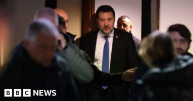 Matteo Salvini: Italian deputy PM takes stand in migrant kidnap trial