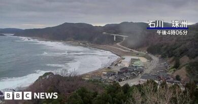 Moment quake hits Japan coastal town