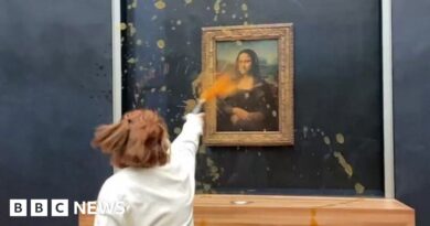 Mona Lisa: Protesters throw soup at da Vinci painting