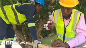 Mozambique storms: How to cyclone-proof your life