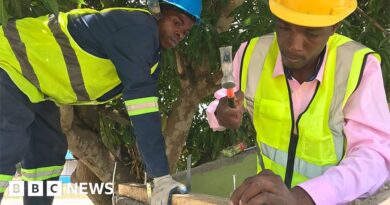 Mozambique storms: How to cyclone-proof your life