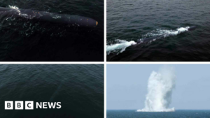 N Korea conducts 'underwater nuclear weapons system' test - state media