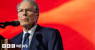 NRA chief executive Wayne LaPierre steps down