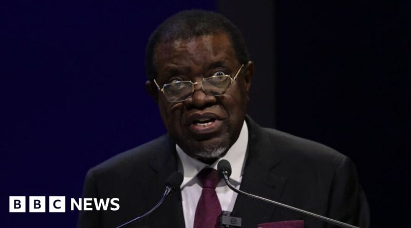 Namibia criticises German support for Israel over ICJ genocide case