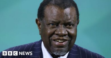 Namibia's President Hage Geingob is in 'good spirits' after cancer diagnosis