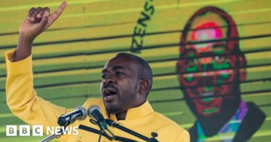 Nelson Chamisa: Zimbabwe opposition CCC leader quits 'contaminated' party