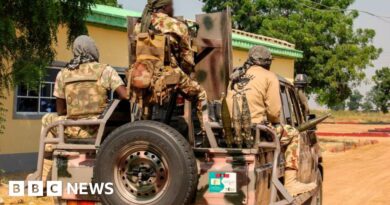 Nigerian army arrests soldiers after viral torture video