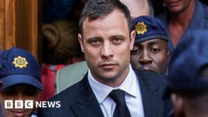 Oscar Pistorius - the fallen hero and his future