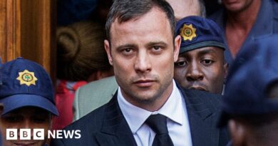 Oscar Pistorius - the fallen hero and his future