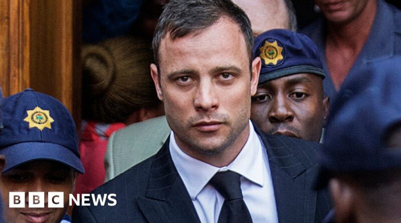 Oscar Pistorius - the fallen hero and his future