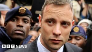 Oscar Pistorius to be released on parole in South Africa