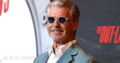 Pierce Brosnan pleads not guilty to hiking off trail in Yellowstone thermal area