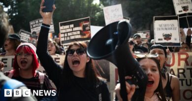 Protests as bullfighting returns to Mexico City