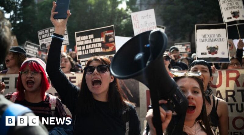 Protests as bullfighting returns to Mexico City