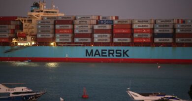 Red Sea crisis boosts shipping costs, delays – and inflation worries