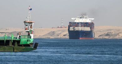 Red Sea trade hit can be 'managed' amid weak global demand, says WEF