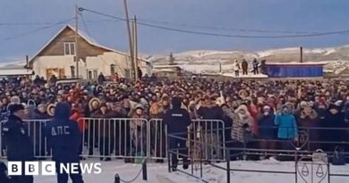 Russia protest: Crowds clash with riot police as activist jailed