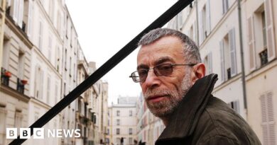 Russian poet and Putin critic Lev Rubinstein dies after car crash