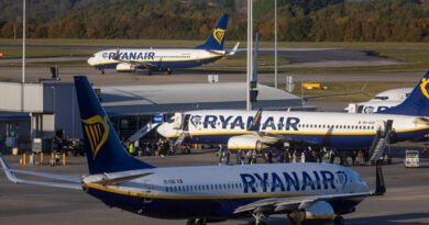 Ryanair trims annual profit forecast after travel agents halt sales