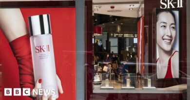 SK-II skincare sales hurt by anti-Japan sentiment in China