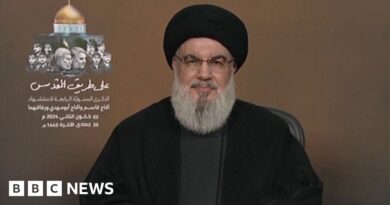 Saleh al-Arouri: Hamas leader's death 'won't go unpunished', says Hezbollah chief