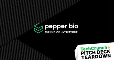 Sample Seed pitch deck: Pepper Bio's $6.5M deck | TechCrunch