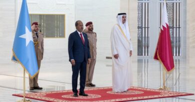 Somali president follows Egypt visit with Qatar amid row over Somaliland-Ethiopia deal