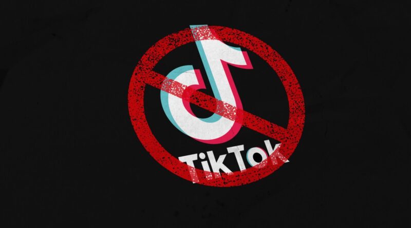 Some IRS employees still access TikTok despite ban on government devices | TechCrunch