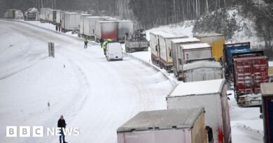 Swedish snow chaos leaves 1,000 vehicles trapped on main E22 road