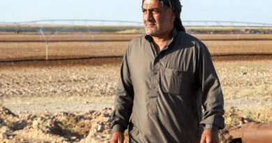 Syrian farmers abandon the land for steadier jobs