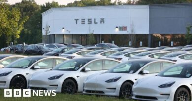 Tesla recalls more than 1.6 million cars in China over steering software issues