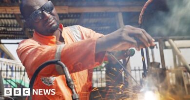 The Nigerian professor who makes more money welding