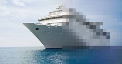 The World Cruise on TikTok is an unintentional online reality show | TechCrunch