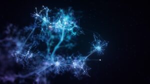Theory Venture's Tomasz Tunguz unveils 2024 predictions: AI dominance, resurging Web3, and the new normal of tech investments | TechCrunch