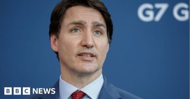 Trudeau balancing act on Israel-Gaza annoys both sides of debate