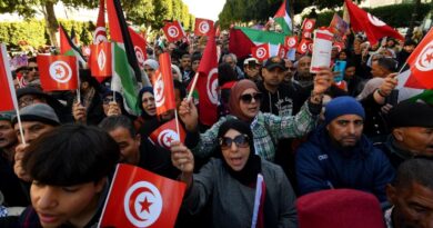 Tunisians protest on Arab Spring uprising anniversary