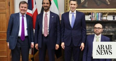 UAE, UK officials bid to boost economic links at London meeting