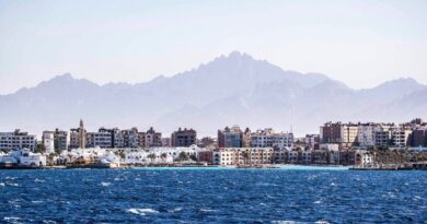 UAE’s AD Ports to develop Egypt Red Sea cruise terminals despite instability