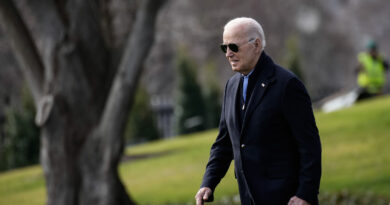 US government employees plan walkout over Biden’s Gaza policies