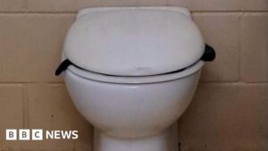 Venomous snake found lurking in Australian toilet
