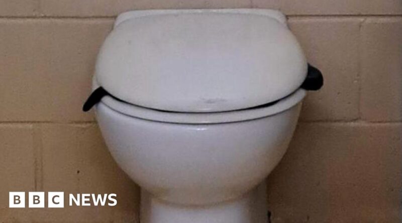 Venomous snake found lurking in Australian toilet