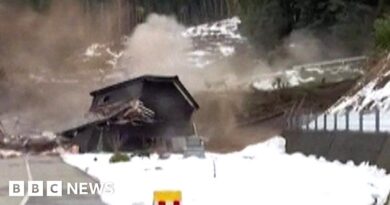 Video shows buildings swept away by Japan landslide