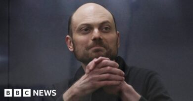 Vladimir Kara-Murza: Fears for Russian activist after secretive jail move