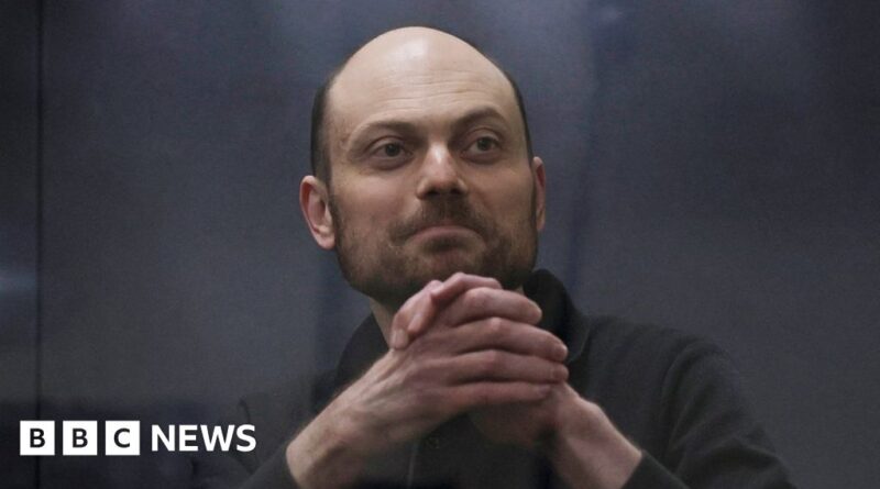 Vladimir Kara-Murza: Fears for Russian activist after secretive jail move